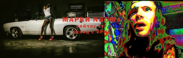 дурь Аркадак