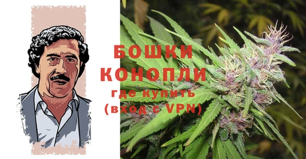 дурь Аркадак