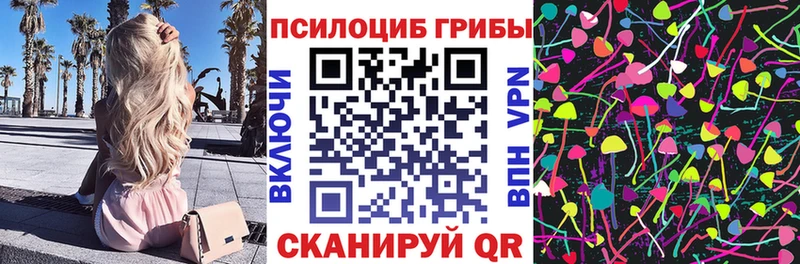Галлюциногенные грибы Psilocybine cubensis  где можно купить наркотик  Краснодар 